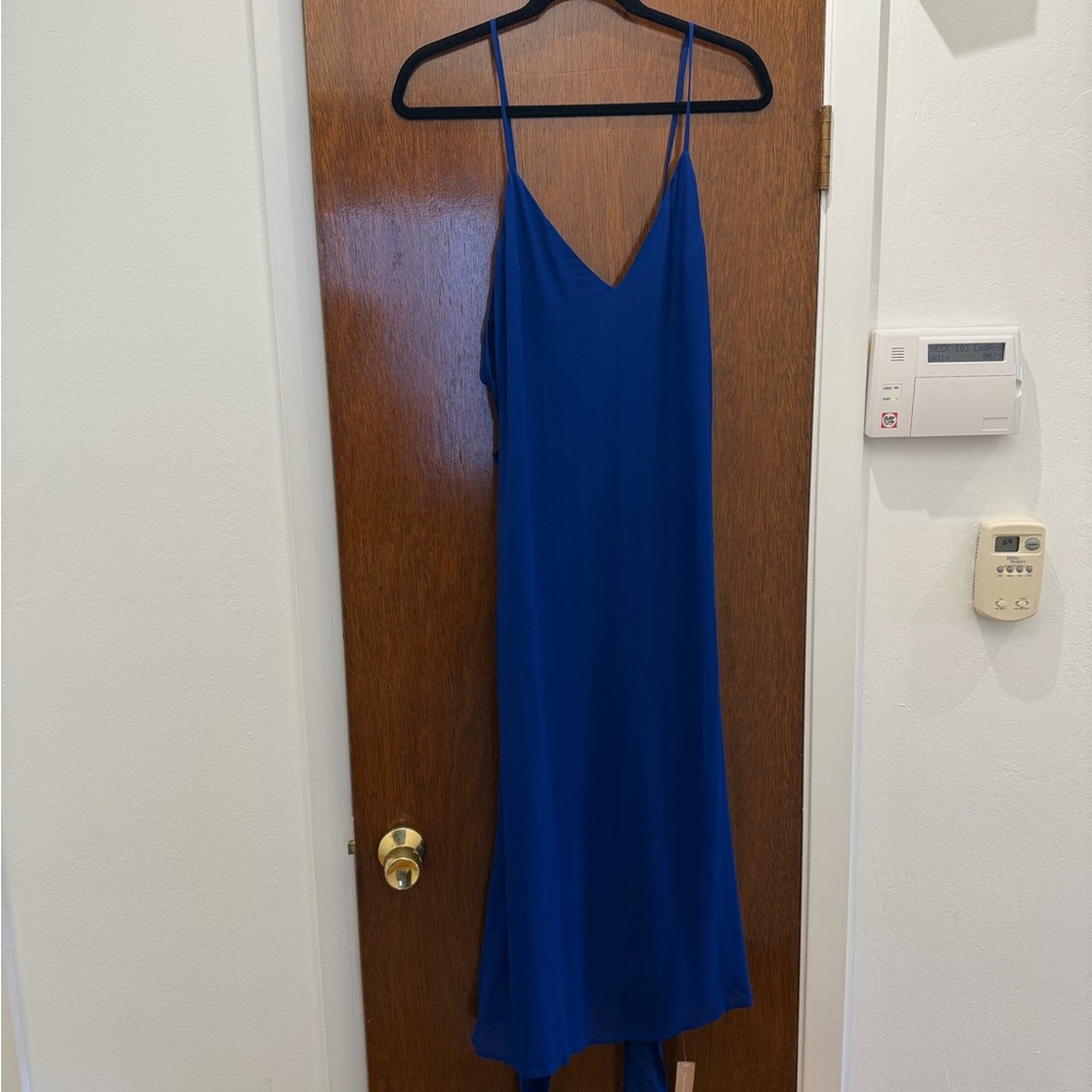 Reformation Blue Backless Dress